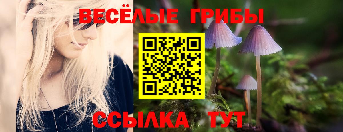 Псилоцибиновые грибы мухоморы  Вход с VPN  Ейск  Псилоцибиновые грибы Cubensis 